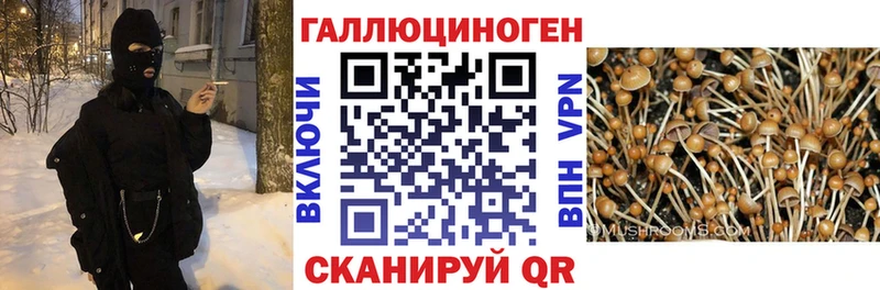Галлюциногенные грибы ЛСД  кракен ТОР  Карабаново 